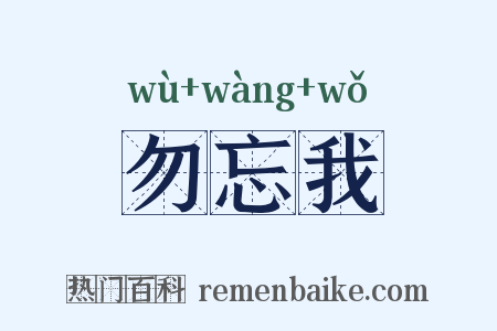 勿忘我是什么意思的图片